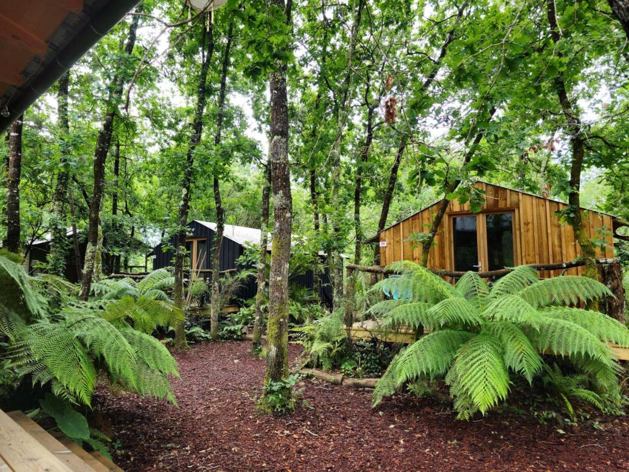 Camping Aux Couleurs Du Ferret Lège-Cap-Ferret Exteriér fotografie