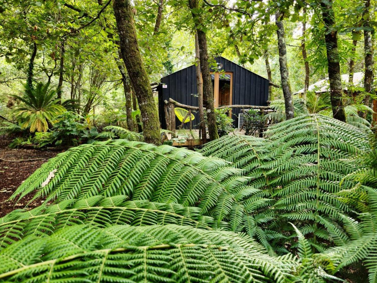 Camping Aux Couleurs Du Ferret Lège-Cap-Ferret Exteriér fotografie